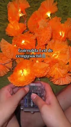 Marigold LED Garland Mode and Petal Demo — illustrative cover