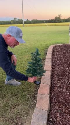 TikTok Solar Christmas Tree Yard Setup — illustrative cover